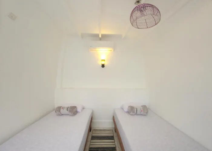 White Roof - *